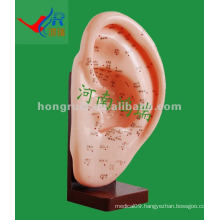 HR-508A Antique Ear Acupuncture Model 22CM,acupuncture ear